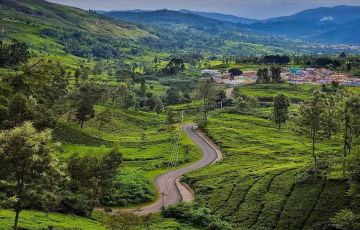 3 Days 2 Nights Coimbatore & Ooty Tour Package