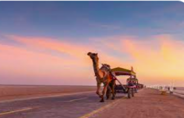 3 Nights & 4 Days Kutch Holiday Tour Package ...