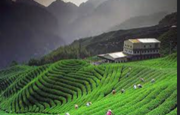 3 Days 2 Nights Kausani Holiday Tour Package
