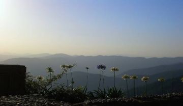 2 Days 1 Nights Mashobra Tour Package