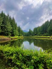 3 Days/ 2 Night Shimla & Narkanda Vacation Package