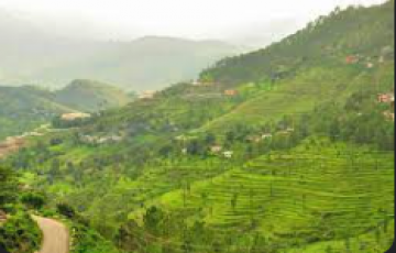 3 Days 2 Nights Almora With Ranikhet Trip Package