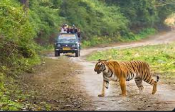 Beautiful 3 Days Kausani With Jim Corbett Tour Package by LOGIX DESTINATIONS