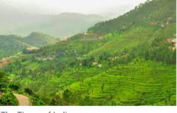 3 Night & 4 Days Bhimtal-Nainital-Almora Tour Pacakage