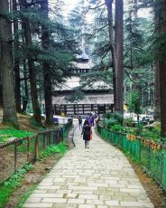 6 Days 5 Nights Manali Tour Package by Mountain Clucb Holidays