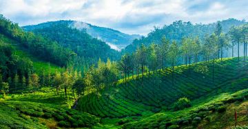 Kerala Package 4 Nights 5 Days