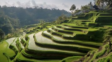 Romantic Bali with Private Pool Villa Stay