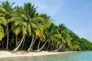 Andaman Tour 4 Nights 5 Days 2 Adults