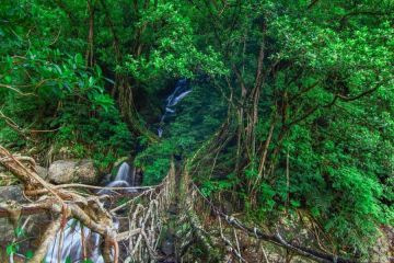 Amazing 4 Days Meghalaya Budget Tour Package