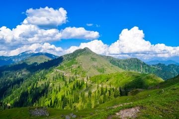 Kashmir 5 Nights and 6 Days Package