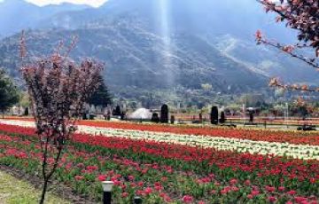 Kashmir 5 Nights and 6 Days Package