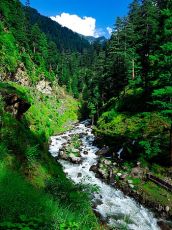 Kashmir 5 Nights and 6 Days Package