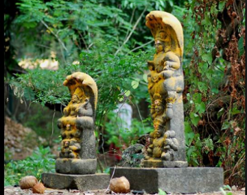 Memorable Kaziranga Shillong Family Holiday Package