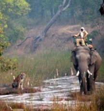 Memorable Kaziranga Shillong Family Holiday Package