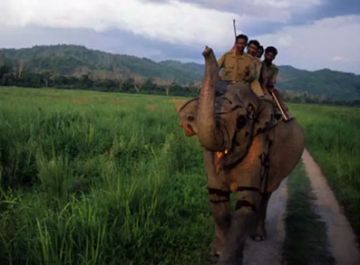 Splendid 9 Days Assam and Meghalaya Tour Package