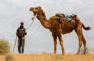 UZBEKISTAN FIXED DEPARTURE & GROUP TOUR INDIAN MEALS