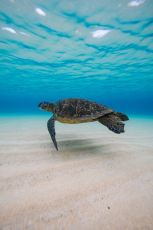 Ecstatic Seychelles Sightseeing Tour Packages 5 Days & 4 Nights  by Holiday Spirit