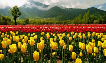 Best 4 Days Srinagar Tour Package by Travel Bucket Holidays