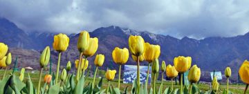 Exotic Kashmir 5 Night Tour Package