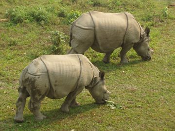 8 days 7 Nights Nepal Classic Tour Package