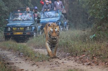 4 Days 3 Nights Kanha National Park Tour Package