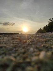 6 Days 5 Nights Port Blair Tour Package by ANDAMAN ADVENTURE TOURS AND TRAVELS