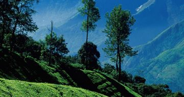05 nights 06 days Kerala Package