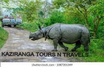 6 n 7 d Guwahati-kaziranga-shillong -trip