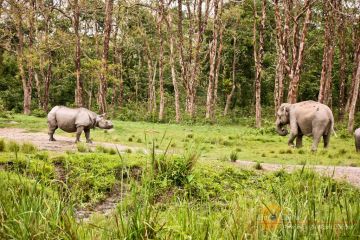 Enchanting Bhutan Holiday Tour Package 6Night & 7Days