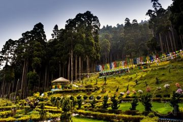 Amazing 4 Days Darjeeling Family Tour Package
