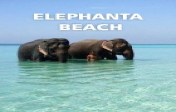 7 Days 6 Nights Port Blair Trip Package