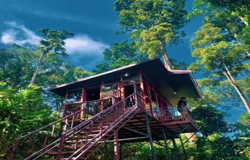 7 Days 6 Nights Kerala Holiday Package by Kuttanadan Pvt Ltd