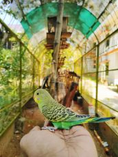 7 Days 6 Nights Kerala Holiday Package by Kuttanadan Pvt Ltd