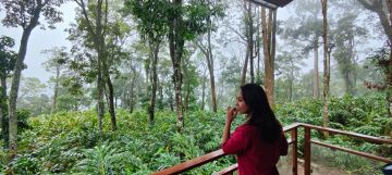 7 Days 6 Nights Kerala Holiday Package by Kuttanadan Pvt Ltd