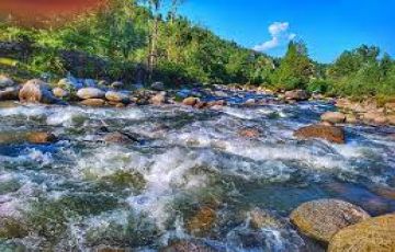 5 Days 4 Nights Srinagar to gulmarg Trip Package by Dream Wonder Holidays