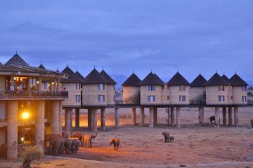 3 DAYS SALTLICK AND NGUTUNI SAFARI