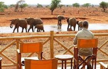 3 DAYS SALTLICK AND NGUTUNI SAFARI