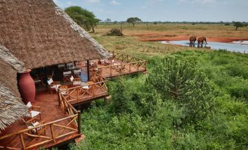 3 DAYS SALTLICK AND NGUTUNI SAFARI