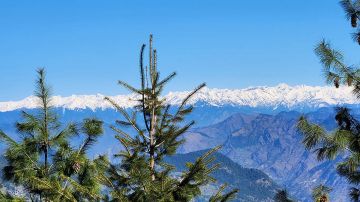 Jibhi & Siryolsor lake Package - valley of treehouse