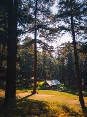 Jibhi & Siryolsor lake Package - valley of treehouse