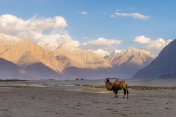 Leh Ladakh Adventure  A Journey to the Roof of the World