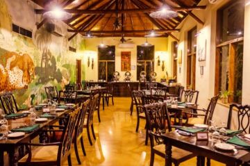 BOOK your Jungle Safari And Stay with us