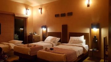 BOOK your Jungle Safari And Stay with us