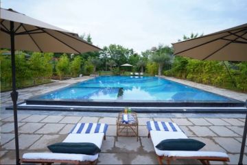 BOOK your Jungle Safari And Stay with us