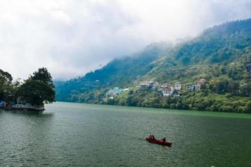 Weekend Fun with Little Wildlife Tour