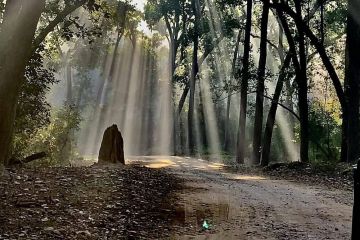 Weekend Fun with Little Wildlife Tour