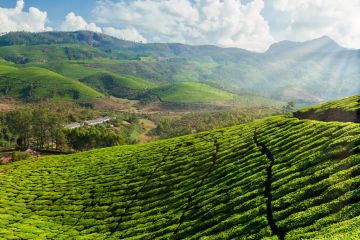 Enchanting Kerala by Mandeha - 7 Nights 8 Days