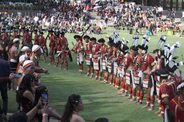 Book Best Tour Package For Hornbill