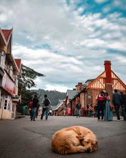 9 Days 8 Nights Royal Himachal Package by Himalayan Routs