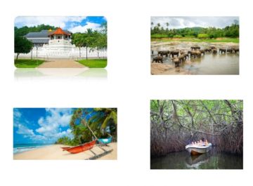 Sri Lanka Tours 4Days 3nights2 Pax